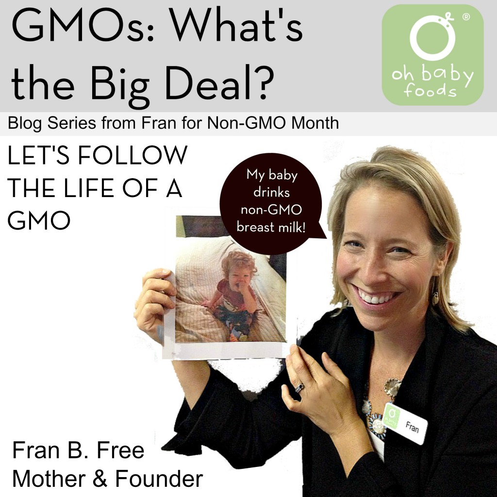 GMO Field Trip: Let’s Follow the Life of a GMO